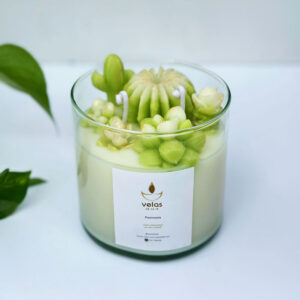 Vela Decorativa Terrario | Velas de la Fe